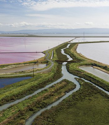 A photo of nature-based flood protection