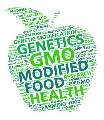 GMO Event logo